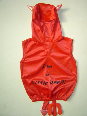 holiday costume (Urlaub Kostüm)