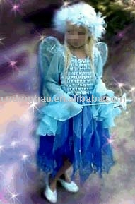 child Cinderella fairy costumes