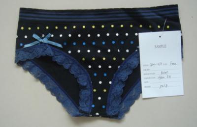 Ladies` Briefs (Ladies `Briefs)