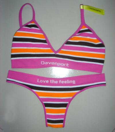 Ladies` Underwear (Ladies `Underwear)