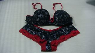 underwear,Ladies bra (underwear,Ladies bra)