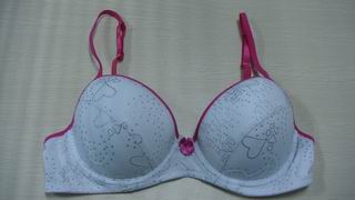 underwear,Ladies bra