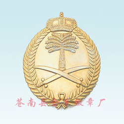 Hat Badge