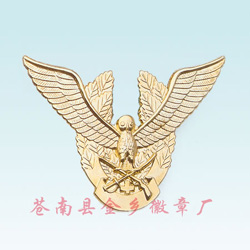 Badge (Знак)