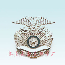 Badge (Badge)