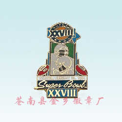 Enamel Badge