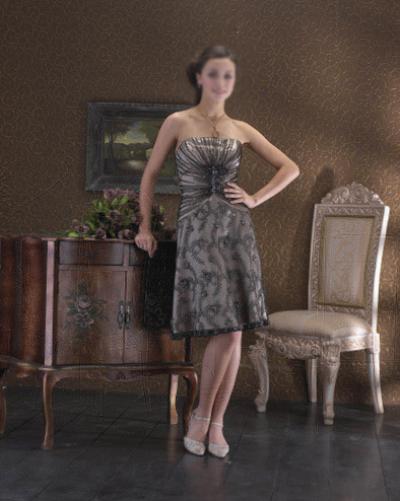 Cocktail Dress (Cocktail Dress)