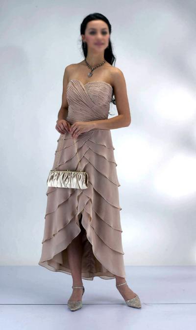 Evening Dress (Evening Dress)