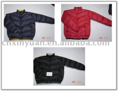 Men`s Jacket (Men`s Jacket)