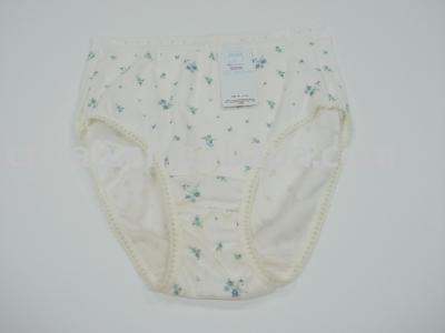women`s panties , underwear (women`s panties , underwear)