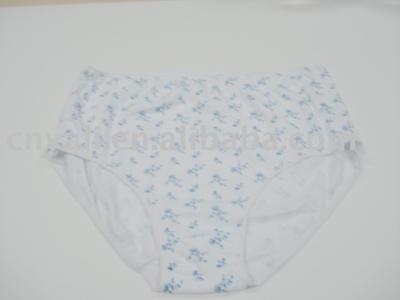 women`s larger panties (women`s larger panties)