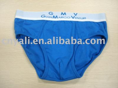 men`s brief, panties ,underwear