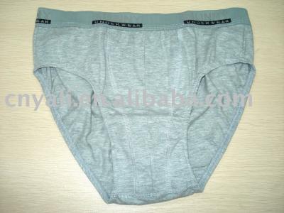 men`s briefs