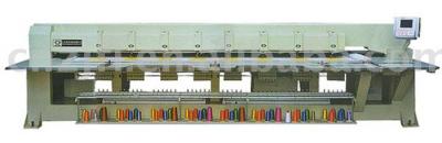 Embroidery and Chain Embroidery Machine (Embroidery and Chain Embroidery Machine)