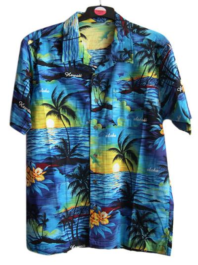 Men`s Shirt (Men`s Shirt)