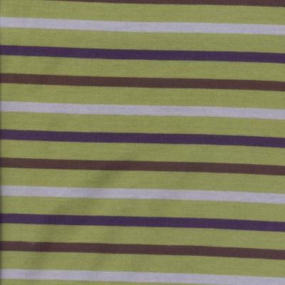 32s/2 Cotton Y/d Feeder Single Jersey (32s / 2 Baumwolle Y / d Feeder Single Jersey)
