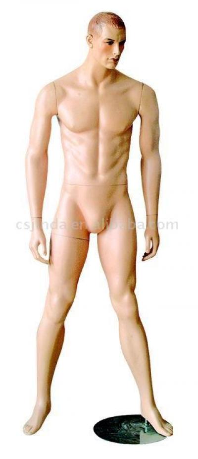 Weibliche Mannequin (Weibliche Mannequin)