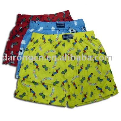 Boy`s Boxer Briefs (Boy`s Boxer Briefs)