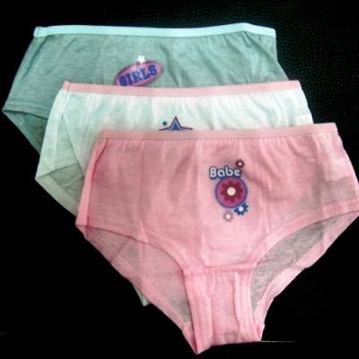Children`s Briefs (Children`s Briefs)