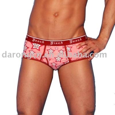 Men`s Briefs (Men`s Briefs)