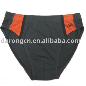 Men`s Briefs (Men`s Briefs)