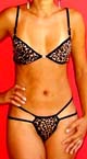 Sexy Bra And Panty Sets (Sexy Bra And Panty Sets)