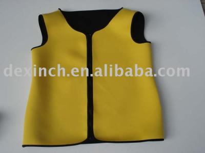 diving vest (gilet de plongée sous-marine)