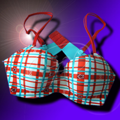 Seamless Bra (Seamless Bra)