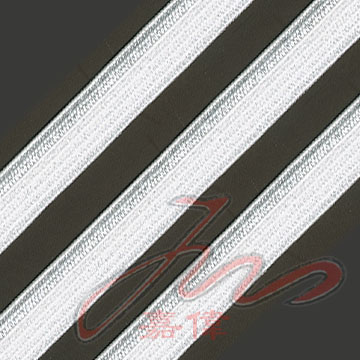 Plane Webbing (Plane Webbing)
