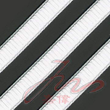 Plane Webbing