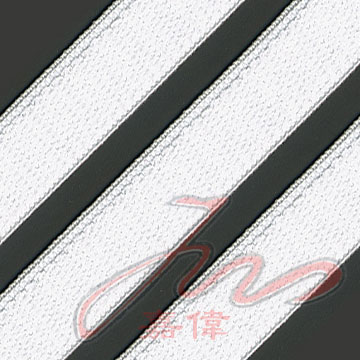 Plane Webbing