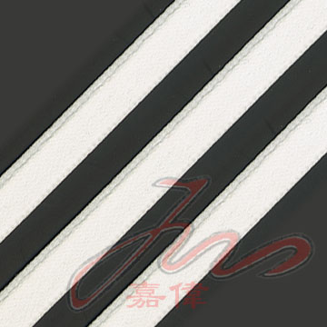 Plane Webbing