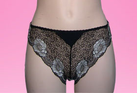 briefs (briefs)