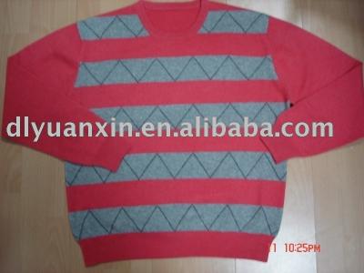 cashmere sweater (cashmere sweater)
