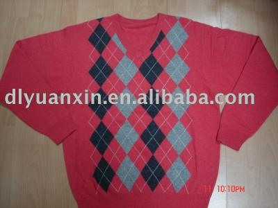 cashmere sweater (cashmere sweater)
