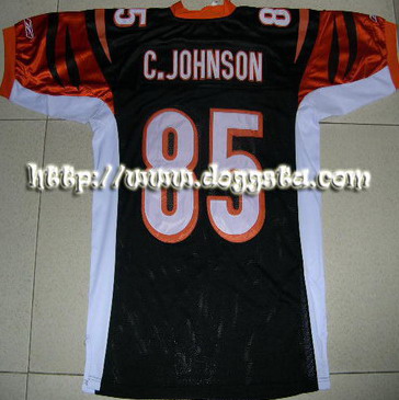 Jersey (www.doggsta.com)