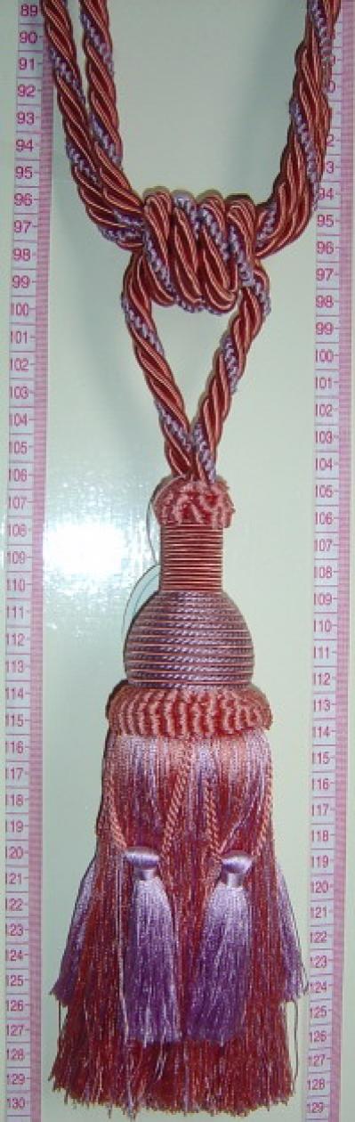 TASSEL (TASSEL)