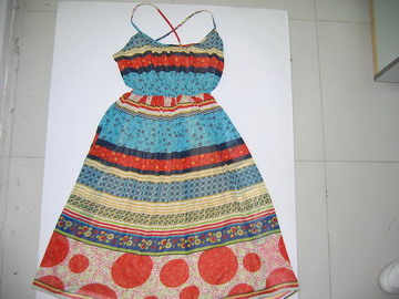 lady`s fashion dress (lady`s fashion dress)