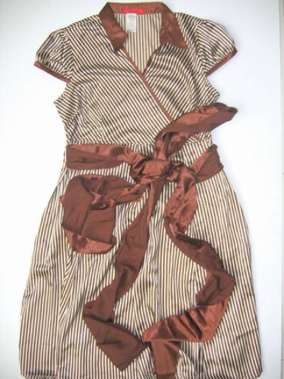 lady`s dress (lady`s dress)