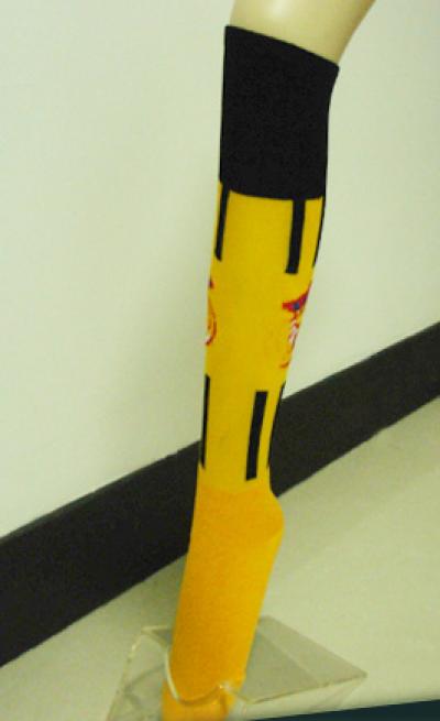 lady`s stocking (lady`s stocking)