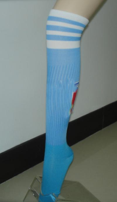 lady`s stocking (lady`s stocking)