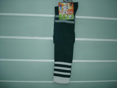 lady`s stocking (lady`s stocking)