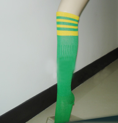 ladys stocking (ladys stocking)