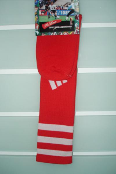lady`s stocking (lady`s stocking)
