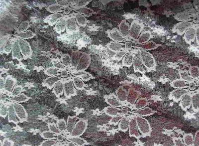 Lace 1 (Dentelle 1)