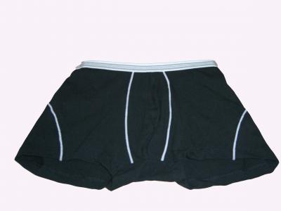Men`s boxer (MEN `S боксера)
