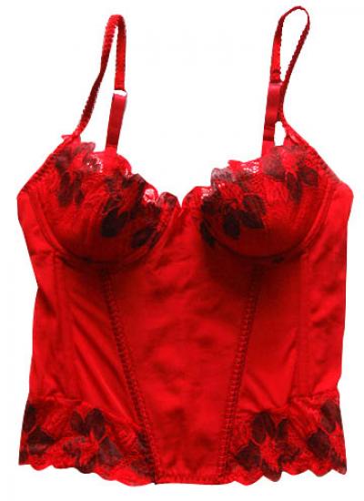 Two Color Lace Corset (Deux couleurs dentelle Corset)