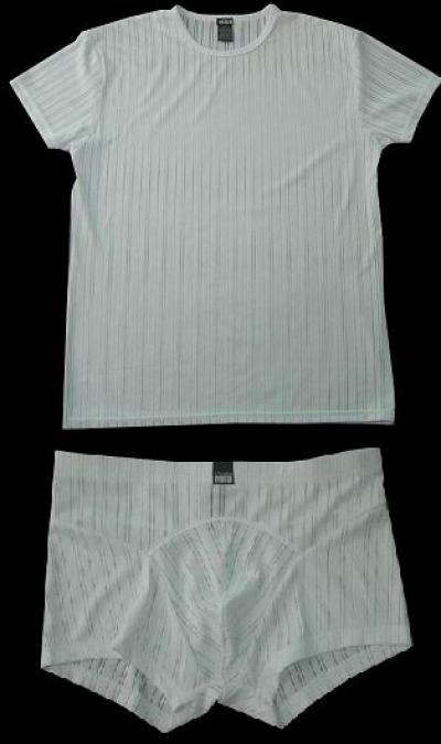 Men`s underwear set (Les hommes de l `ensemble des sous-vêtements)