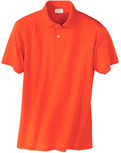 Polo Shirt (Polo)