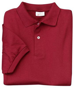 Polo Shirt (Polo Shirt)